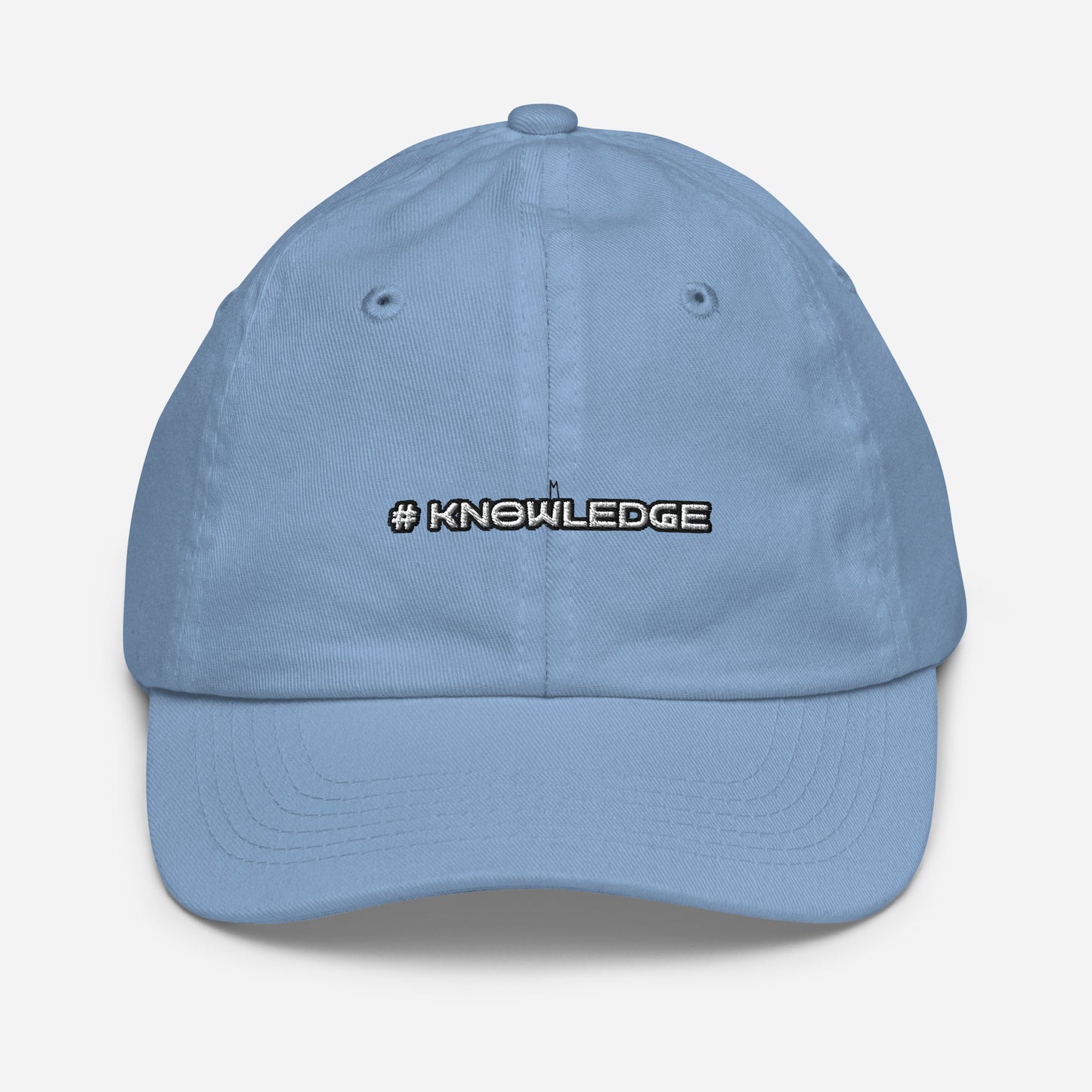 2023 Edu Family Reunion #KNOWLEDGE Youth baseball cap