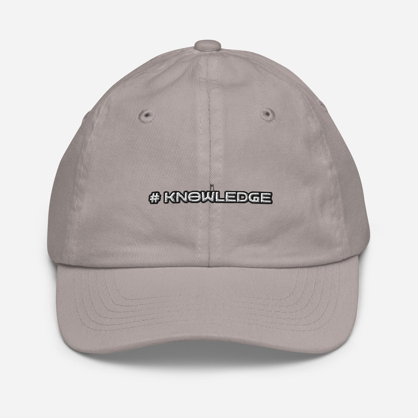 2023 Edu Family Reunion #KNOWLEDGE Youth baseball cap